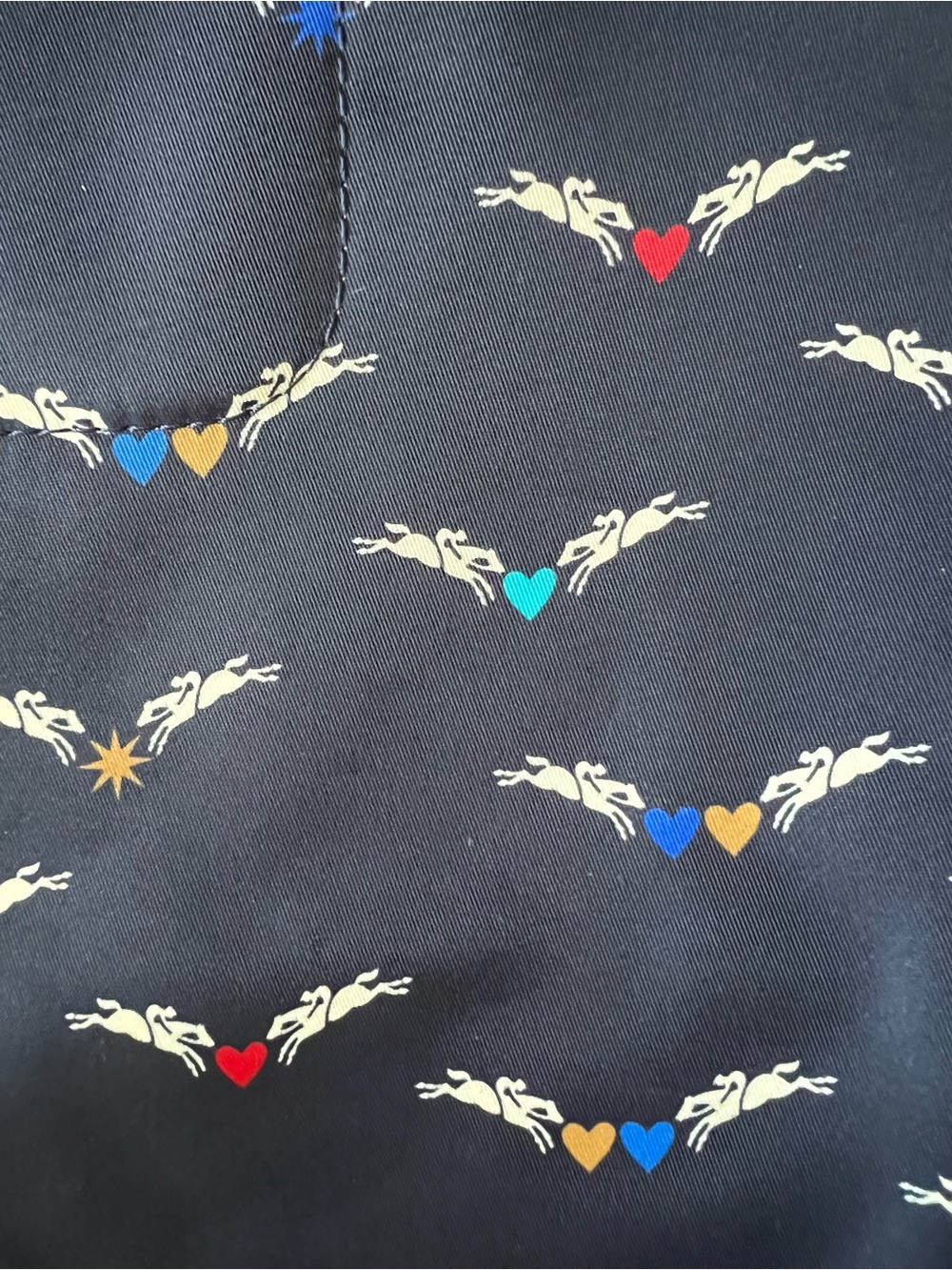 Limited Ed. Longchamp Le Pliage Chevaux - Picture 3 of 12
